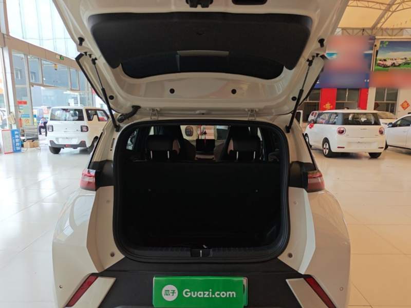 Used BYD Seagull 2023 Free Edition — 18