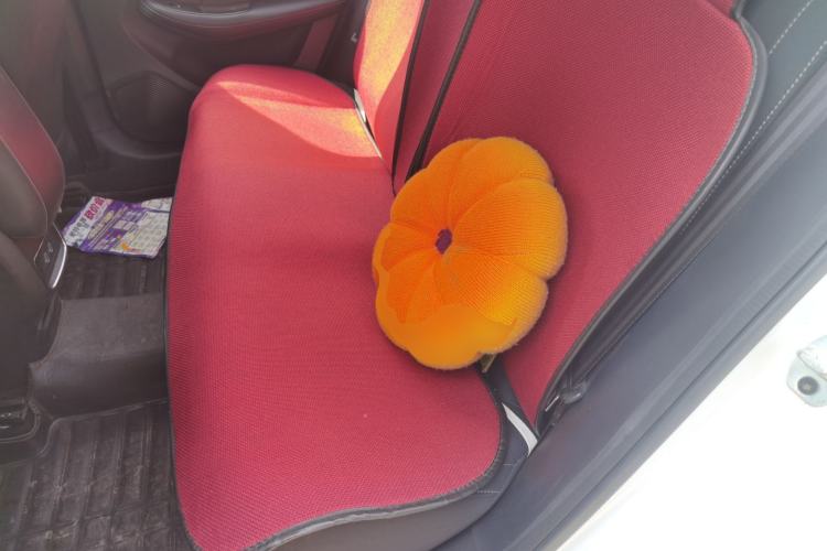 Used Roewe i5 2019 1.5L Automatic 4G Connected Langyue Edition Left Rear Seat