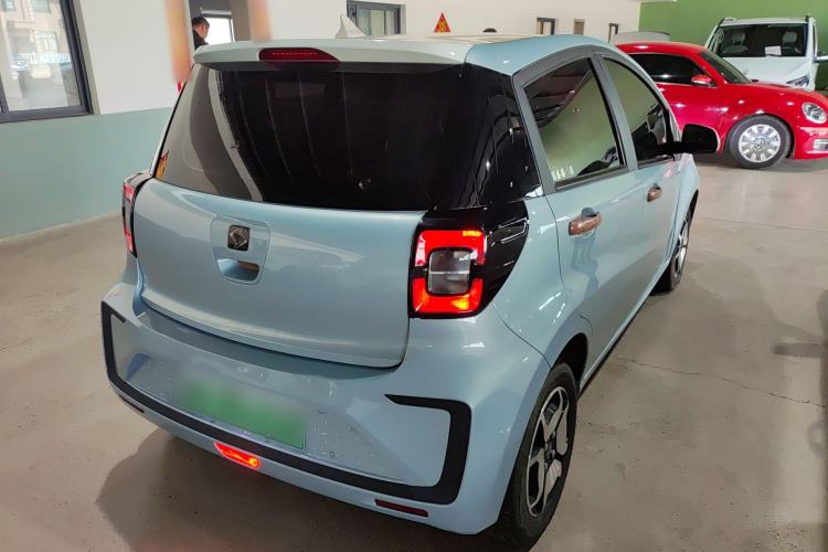 Used SOL E10X 2022 Flower Fairy Style Baby's Breath