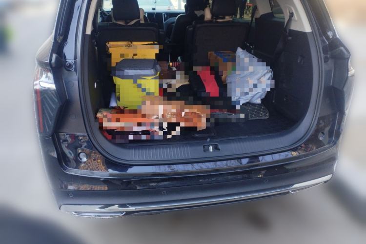 Used Hongqi HS7 PHEV 2025 Model 2.0T PHEV Four-Wheel Drive 2 Million Units Commemorative Edition 6-Seater