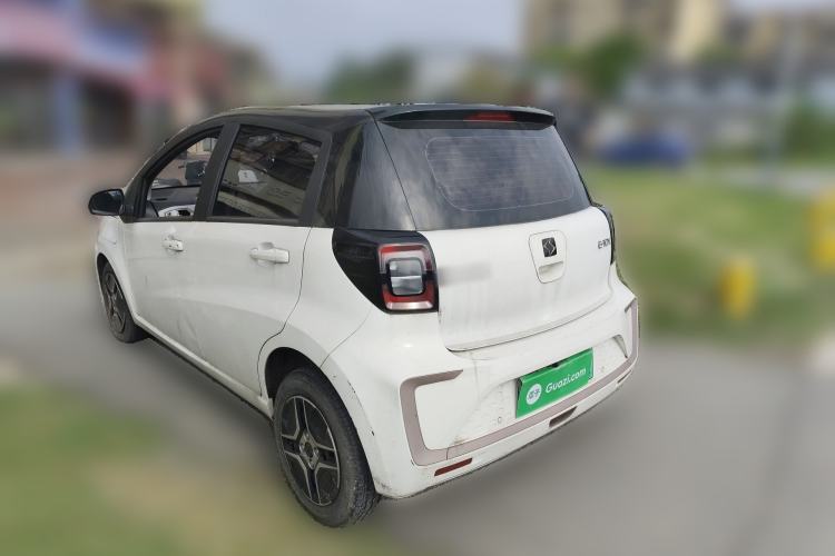 Used SOL E10X 2022 Flower Fairy Design Four-Leaf Clover Rear Left 45 Deg