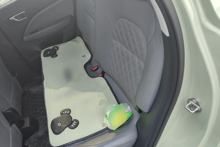 Used Leapmotor T03 2021 400 Luxury Pro Edition Left Rear Seat