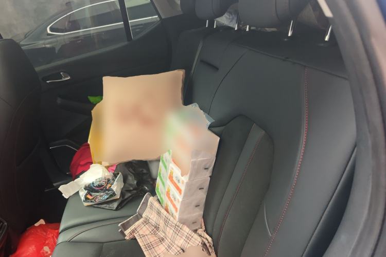 Used GAC Trumpchi GS4 2021 270T Automatic Luxury Edition Left Rear Seat