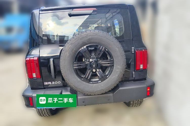 Used Tank 300 2025 2.4T Diesel Version