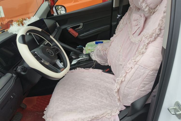 Used BYD Song Pro 2019 1.5T Automatic Prestige Model Left Front Seat