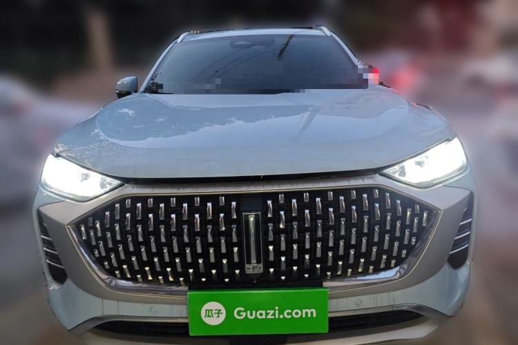 Used Wey Mocha 2021 2.0T Two-Wheel-Drive Premium Edition