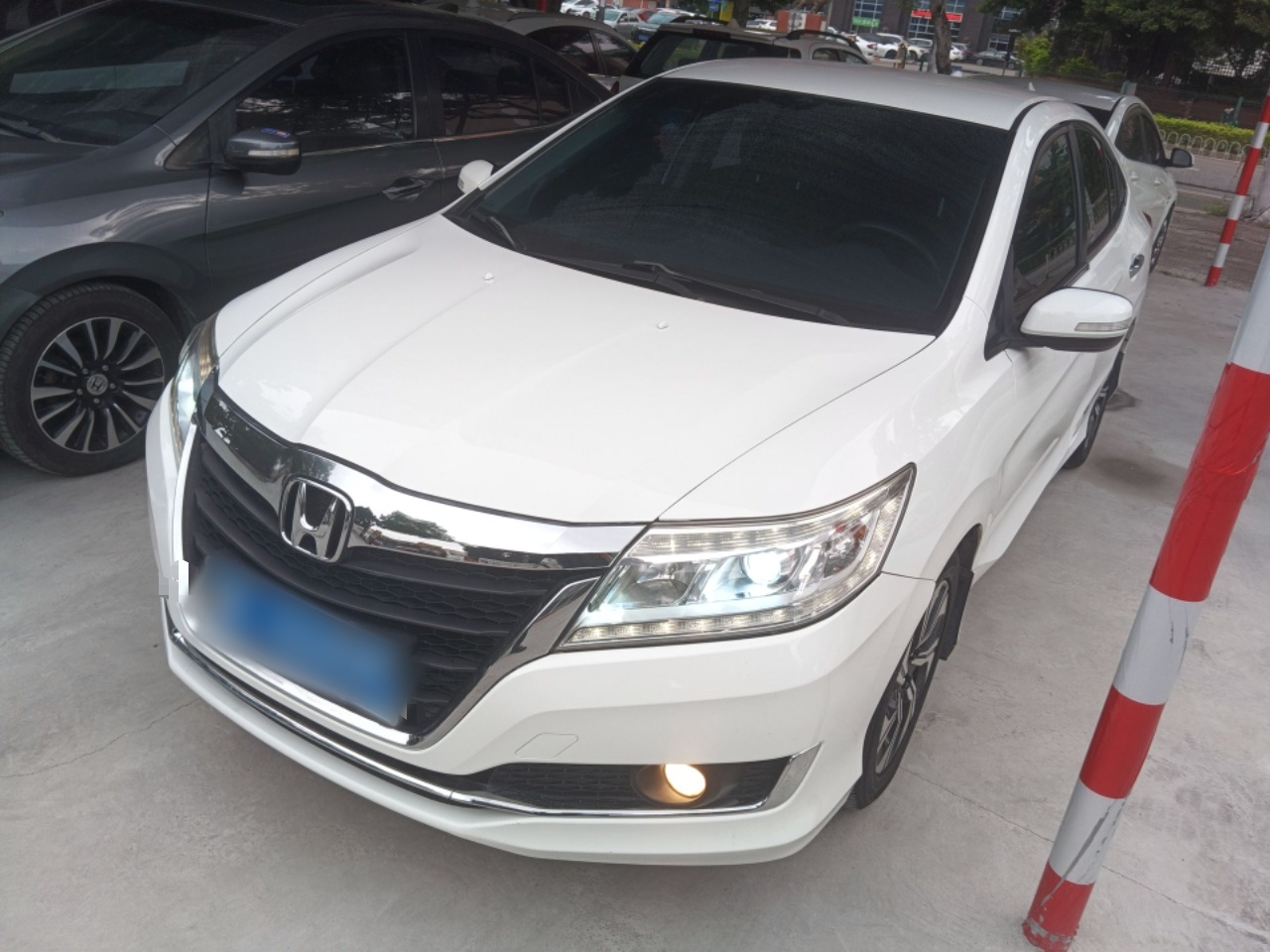 Parte inferior delantera