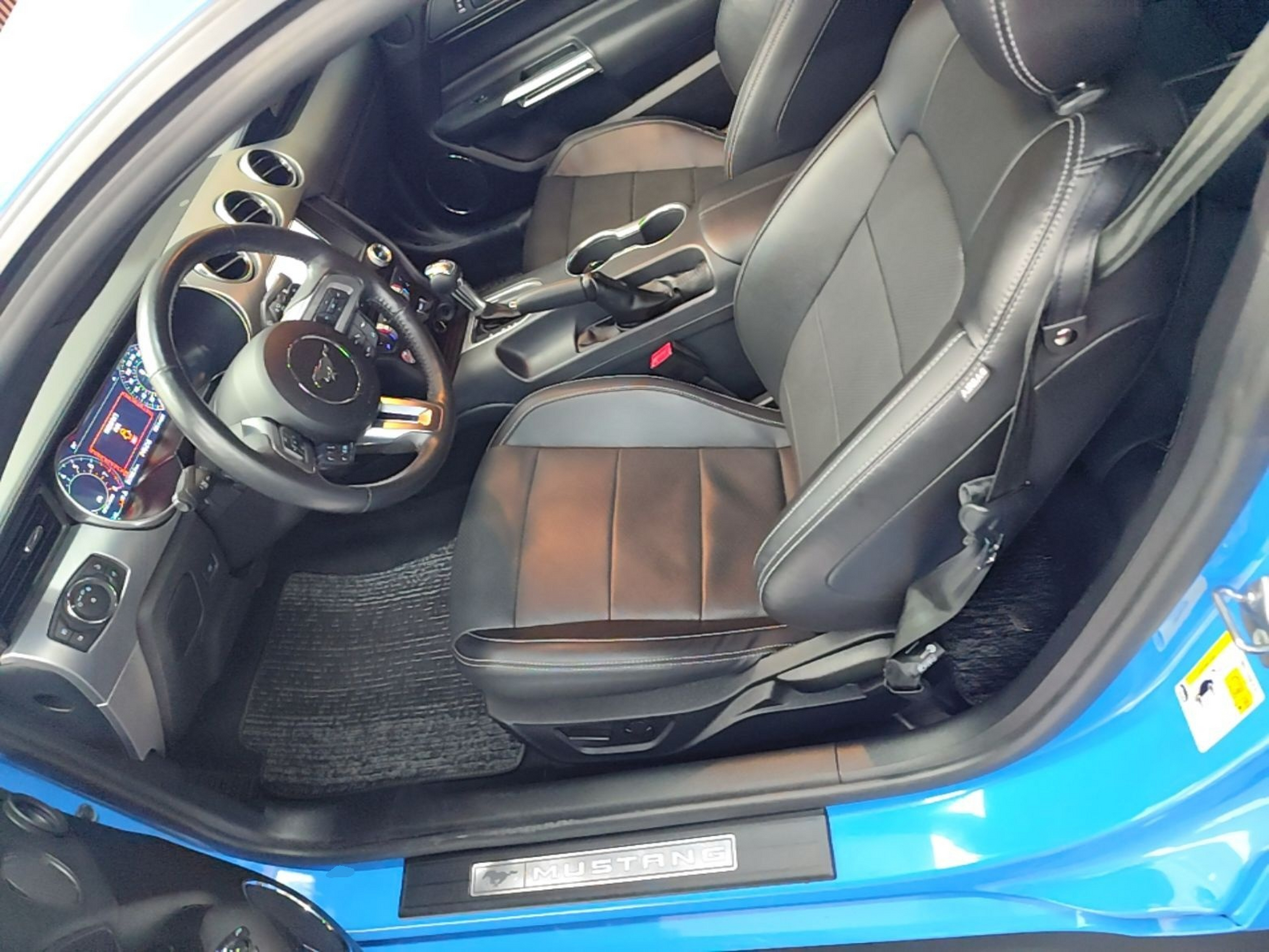 Interior delantero