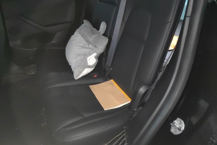 Used Tesla Model Y 2021 Standard Range Rear-Wheel Drive Version Left Rear Seat