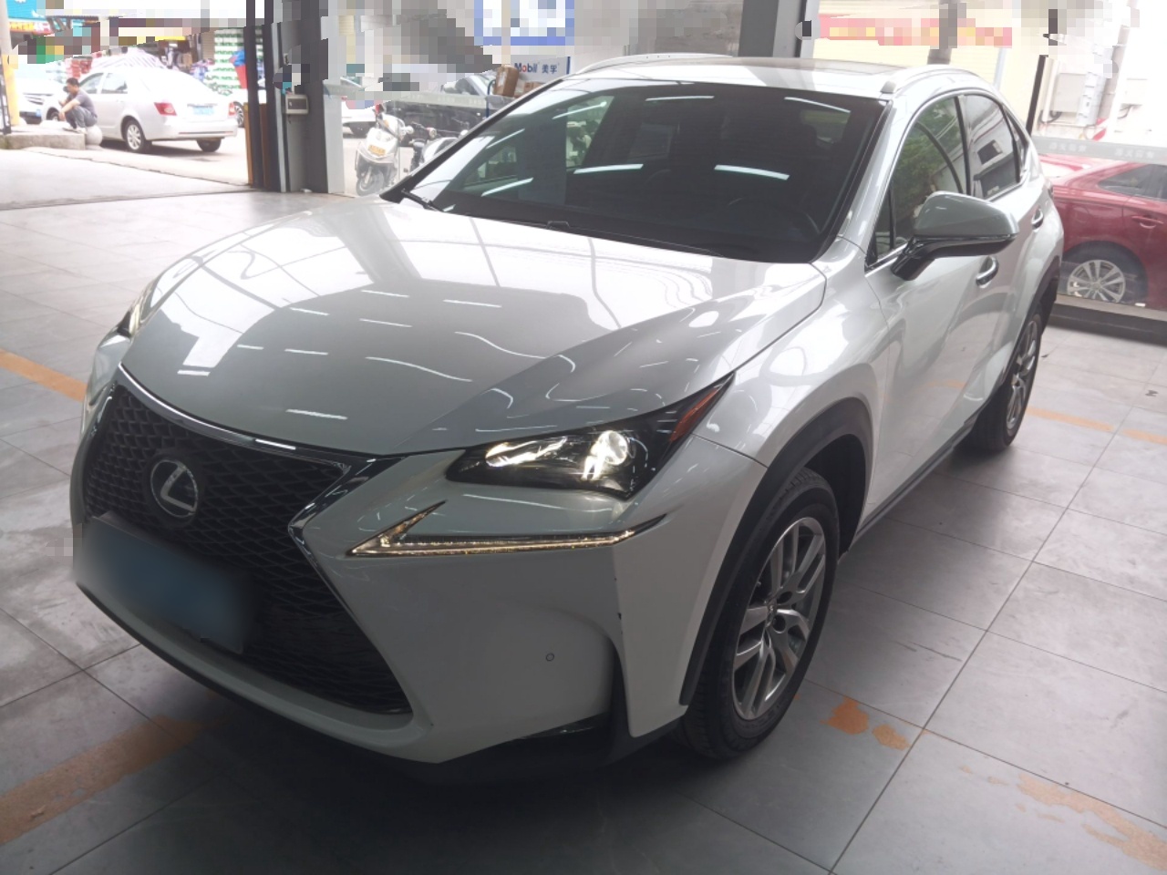 Parte inferior delantera