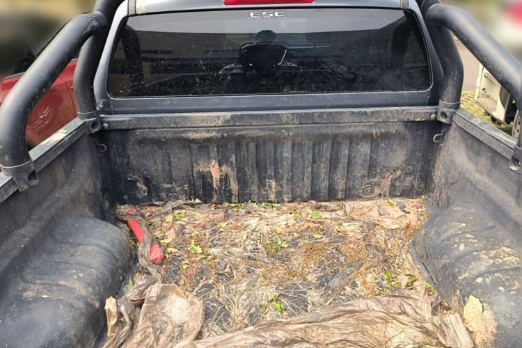 Used Isuzu D-MAX 2023 2.5T Automatic 4x4 Diesel Flagship Long Wheelbase Model Trunk