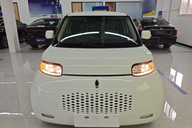 Used ORA White Cat 2020 305 km Luxury Version Front