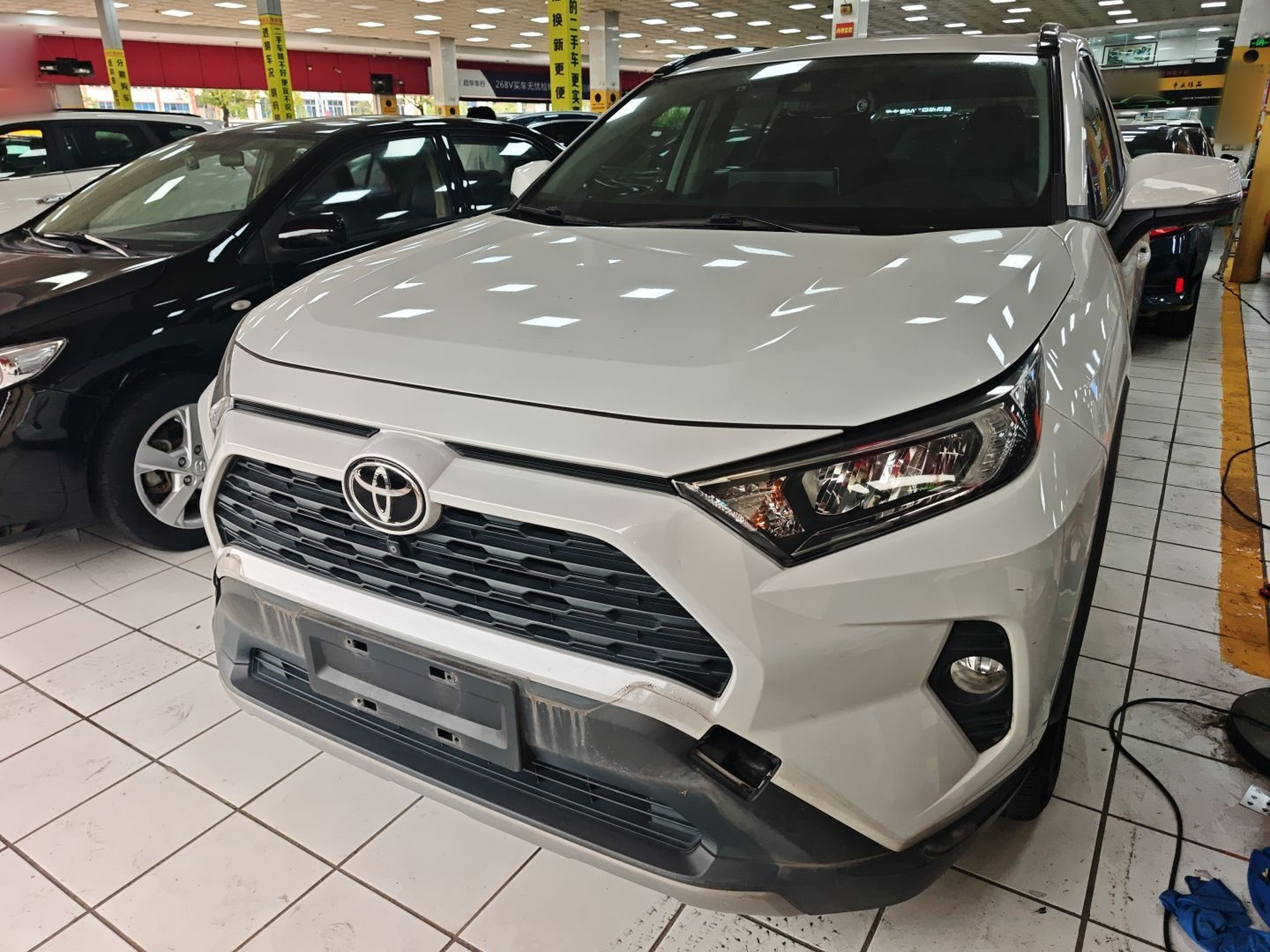 Parte inferior delantera