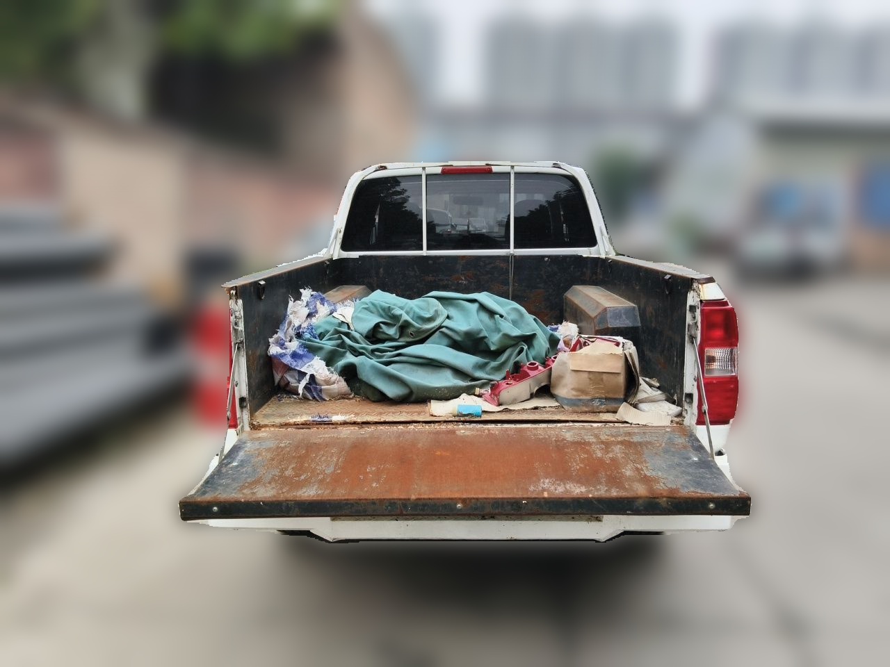 Dongfeng Ruichi 2025 Model 2.4T Diesel 2WD Entrepreneurship Edition—Extended Cargo Bed — снимка 19