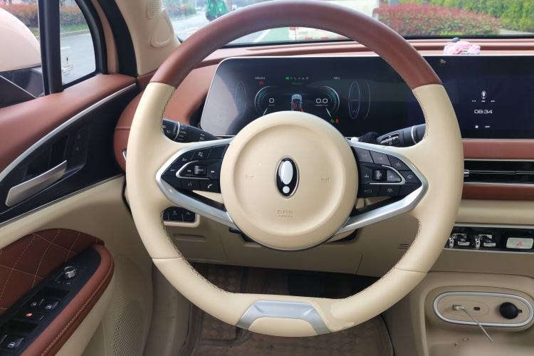 Used ORA Good Cat 2023 401 km Standard Range Luxury Version Ternary Lithium
