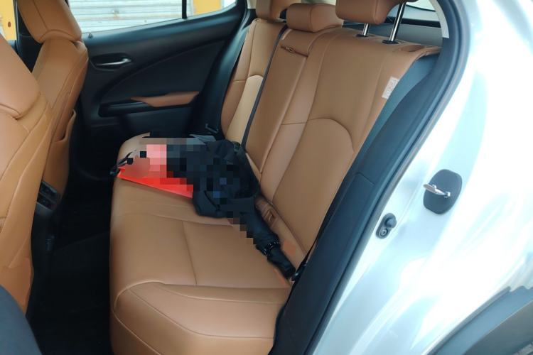 Used Lexus UX New Energy 2020 300e Pure·Joy Edition