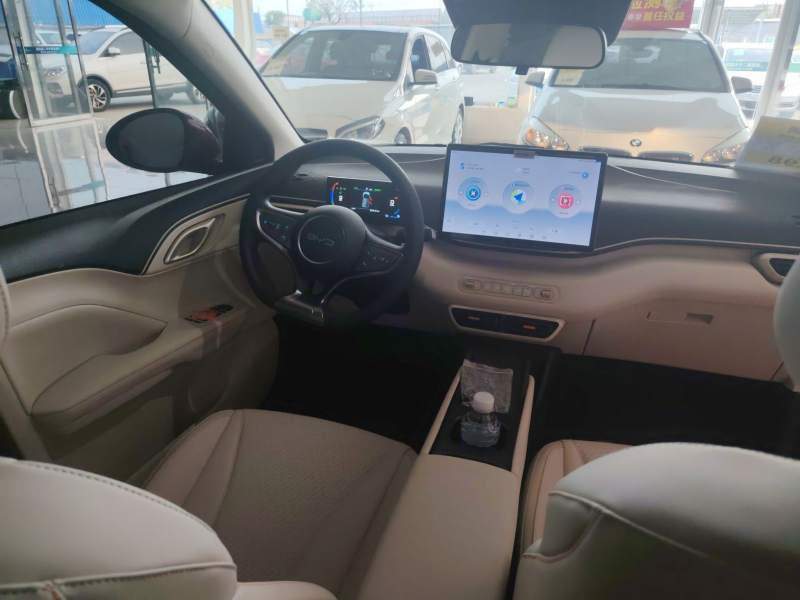Used BYD Seagull 2026 Model, 305 km Vitality Edition — 21
