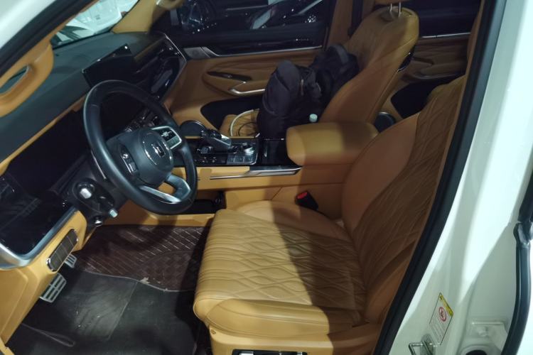 Used Tank 500 New Energy 2023 Hi4-T Left Front Seat