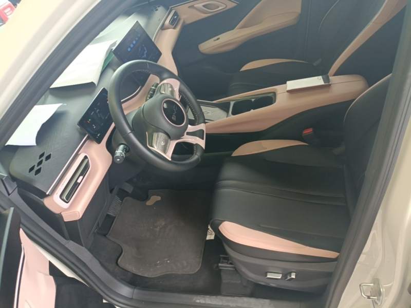 Used BYD Seagull 2025 305 km Free Version — 14