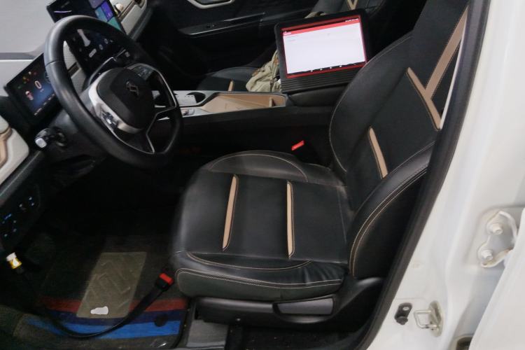 Used SOL E10X 2022 Flower Fairy Style Baby's Breath Left Front Seat