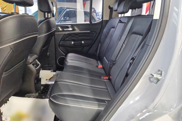 Used Tank 300 2021 City Edition 2.0T—Truly Stylish Left Rear Seat