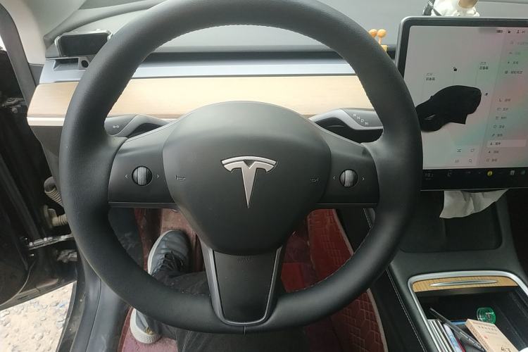 Used Tesla Model Y 2021 Standard Range Rear-Wheel Drive Version