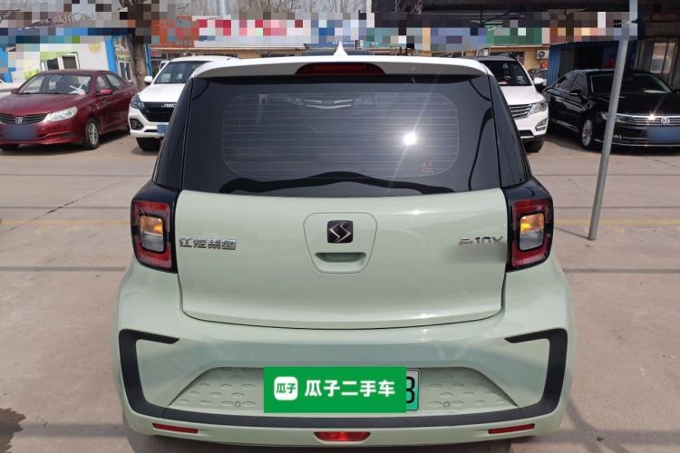 Used SOL E10X 2022 Flower Fairy Design Four-Leaf Clover