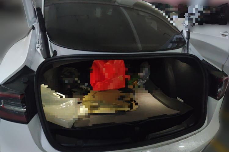 Used Tesla Model 3 2022 Performance High-Performance All-Wheel-Drive Version