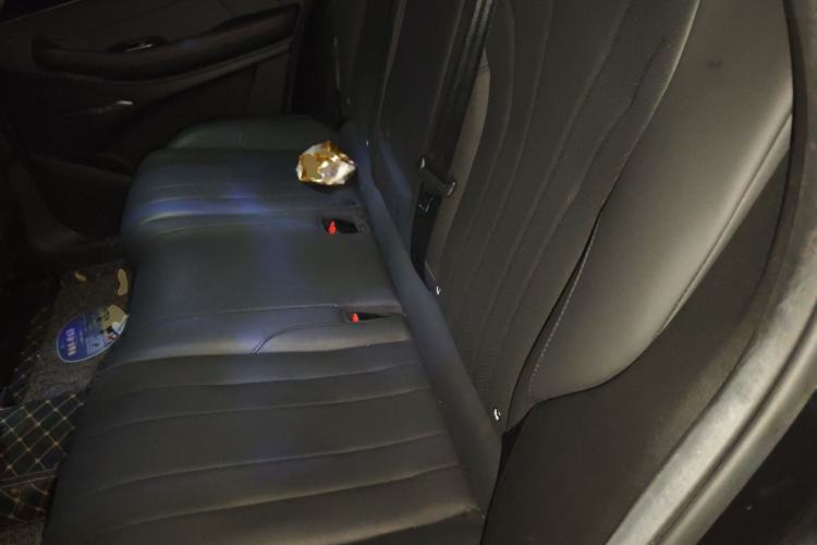 Used EXEED Lingyun 2025 300T Two-Wheel Drive Starry Edition