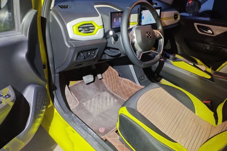 Used SOL E10X 2022 Flower Fairy Style Baby's Breath