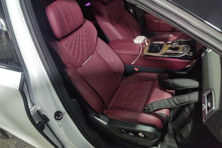 Used Hongqi E-HS9 2021 510 km Range Flagway Edition Six Seats Right Front Seat