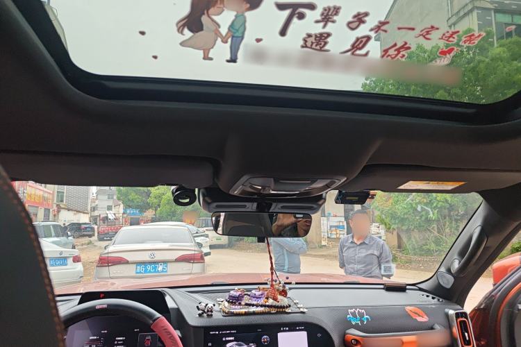 Used Haval DARGO 2021 2.0T DCT 4x4 Chinese Rural Dog Edition Headliner