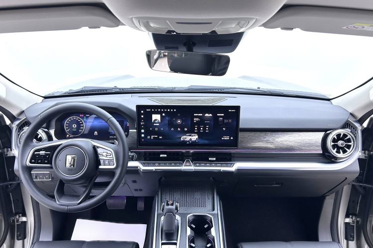 Used Tank 400 2025 2.0T Gasoline Version