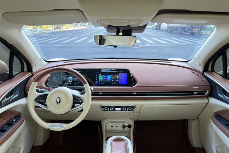 Used ORA Good Cat 2023 401 km Standard Range Luxury Version Lithium Iron Phosphate
