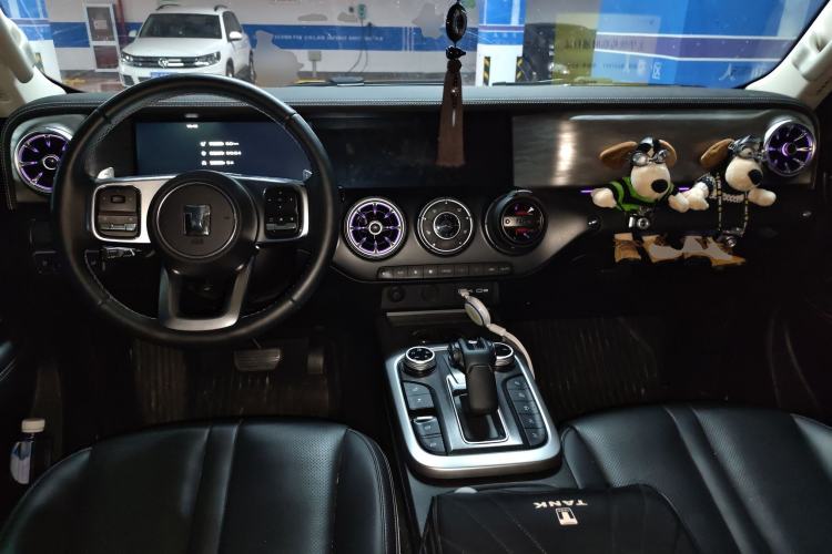 Used Tank 300 2024 2.0T Conqueror
