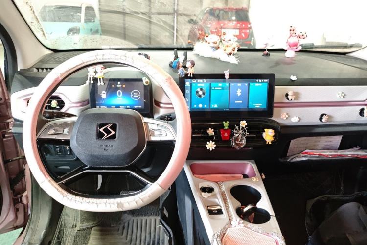 Used SOL E10X 2022 Flower Fairy Style Baby's Breath