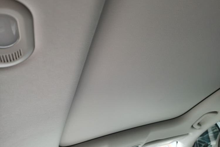 Used Leapmotor C11 2023 Pure Electric 500 Smart Edition Headliner