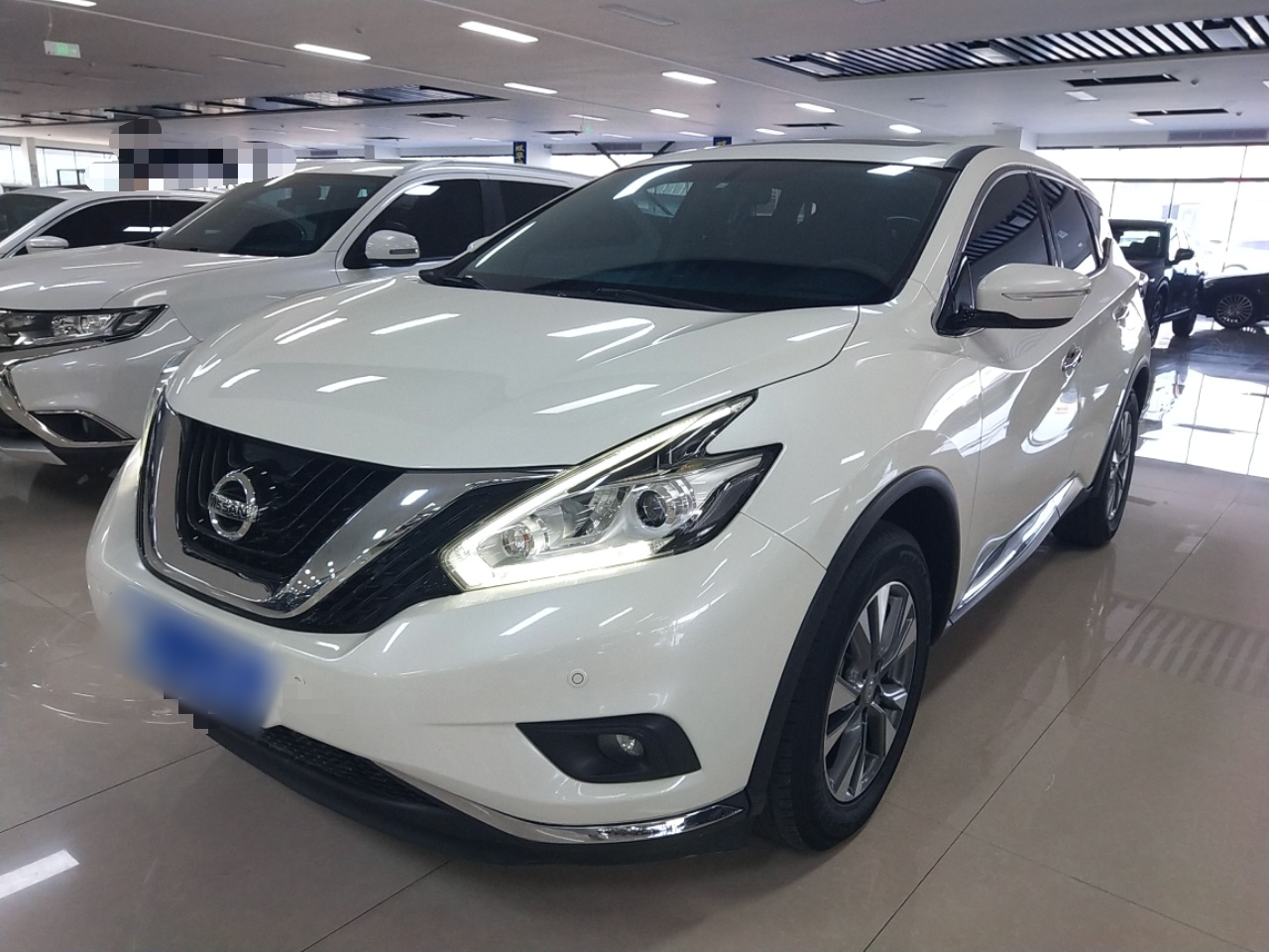 Parte inferior delantera