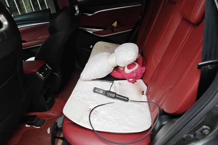 Used CHANGAN CS75 PLUS 2020 2.0T Automatic Pilot Version Left Rear Seat