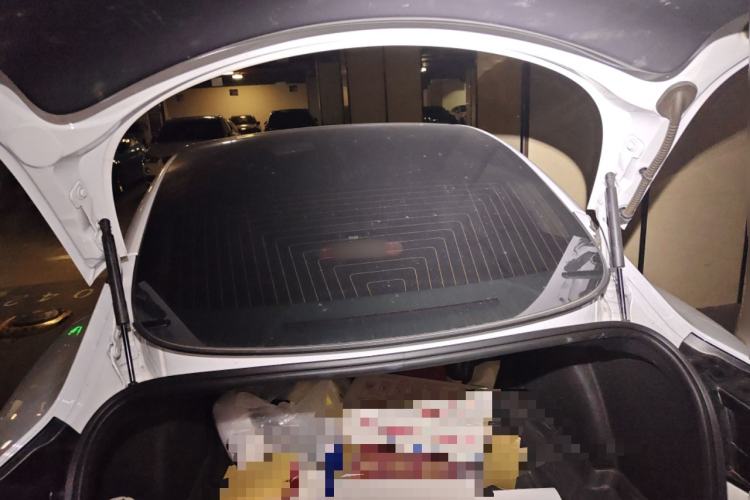 Used Tesla Model 3 2020 Standard Range Rear-Wheel Drive Upgraded Version Trunk