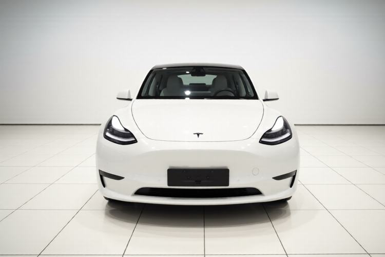 Used Tesla Model Y 2022 Revised Version Rear-Wheel Drive Front
