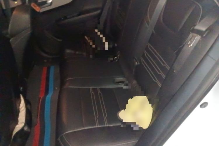 Used BYD Qin New Energy 2021 Lingchang Edition Left Rear Seat
