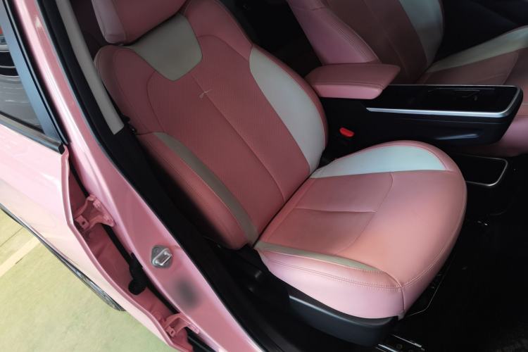 Used NETA V 2021 Witch Edition