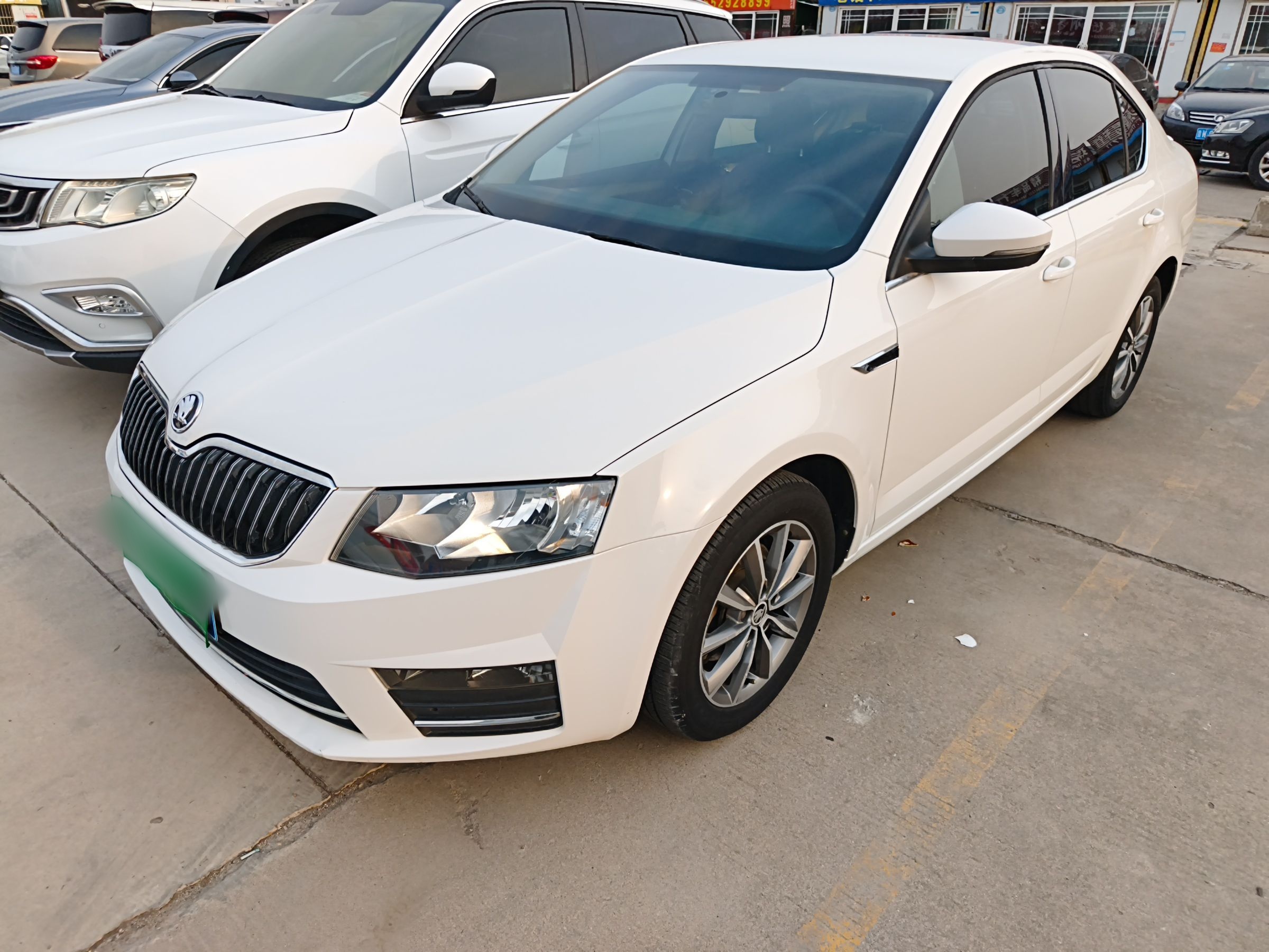 Parte inferior delantera