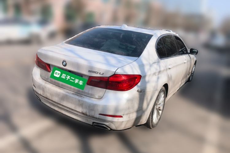 Used BMW 5 Series 2019 Facelifted 530Li Leading Edition Luxury Package Exterior 5