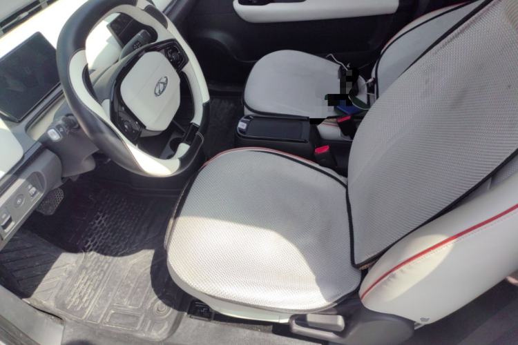 Used Chery Little Ant 2024 321km Love Edition Left Front Seat