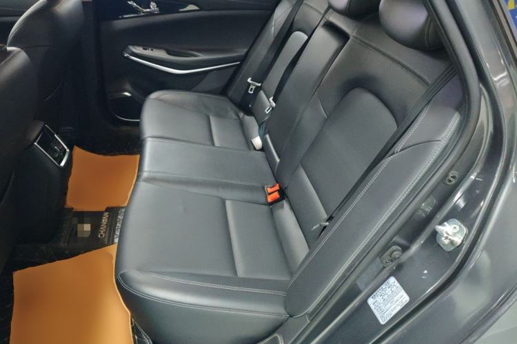 Used CHANGAN Ruicheng CC 2021 Blue Whale Edition 1.5T DCT Prestige Model Left Rear Seat