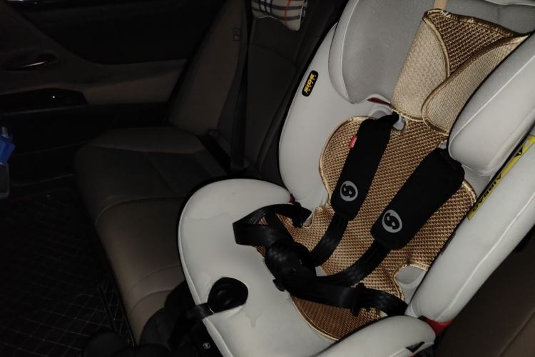 Used Lexus ES 2021 200 Excellence Edition Left Rear Seat