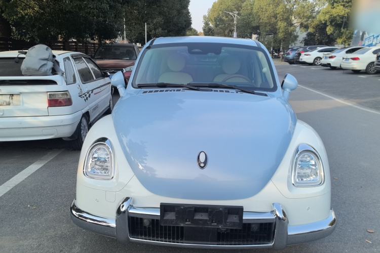 Used ORA Ballet Cat 2023 401 km Luxury Version
