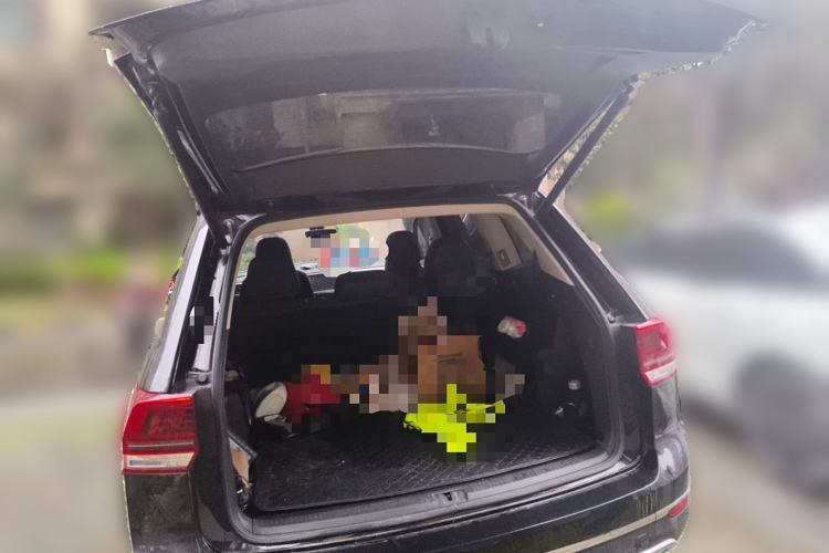 Used Volkswagen Teramont 2020 330TSI Two-Wheel-Drive Luxury Edition China VI Standard Trunk